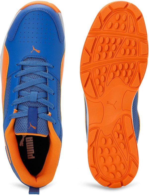 Puma High Run Cricket Shoe