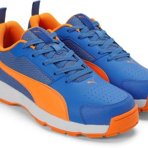 Puma High Run Cricket Shoe