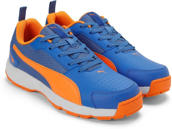 Puma High Run Cricket Shoe